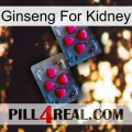 Ginseng For Kidney 14